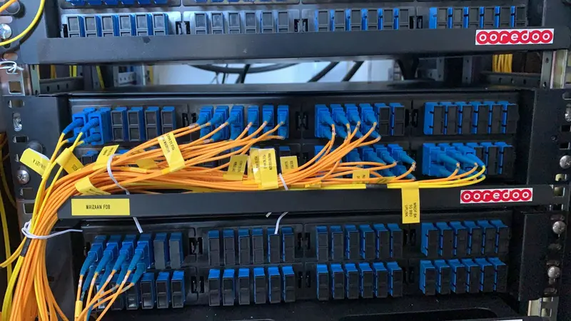 Fibre patch leads at a distribution frame