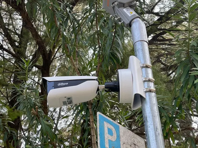 Dahua CCTV bullet camera mounted on a pole in DH. Meedhoo