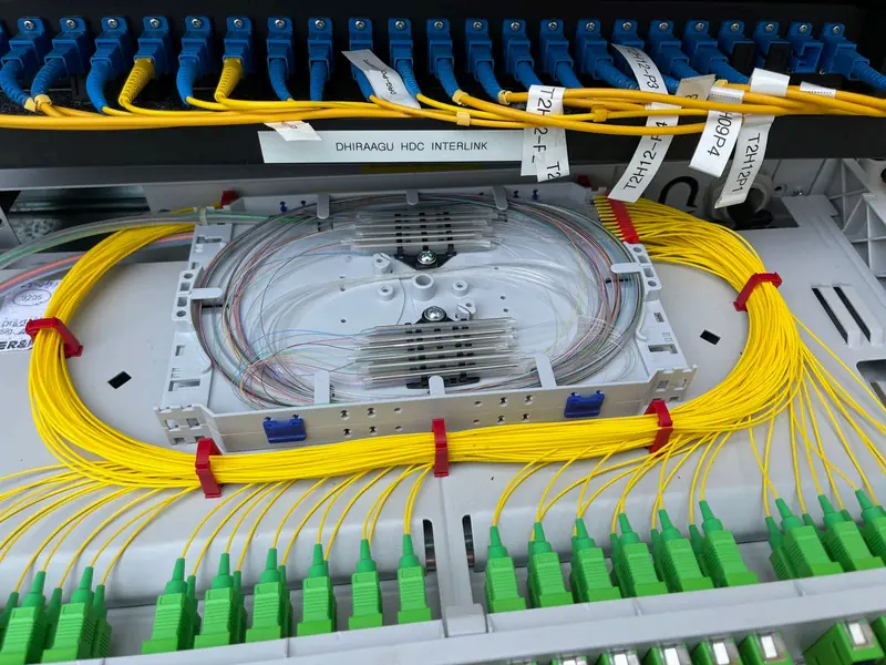 Fibre splice tray with yellow fibre and green connectors